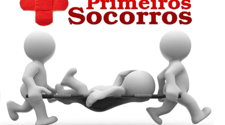 Primeiros Socorros Noções Básicas
